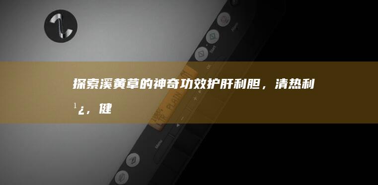 探索溪黄草的神奇功效：护肝利胆，清热利湿，健康守护者